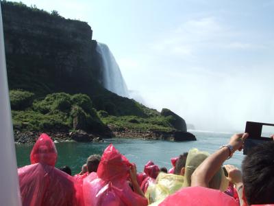 すごい迫力です