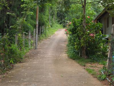 見えてきました