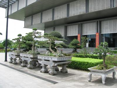 ハノイ国立博物館の盆栽