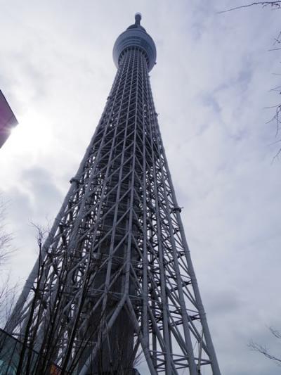 たくさんの店舗が入っています