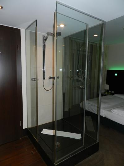 部屋の中央にデーンとシャワールーム！