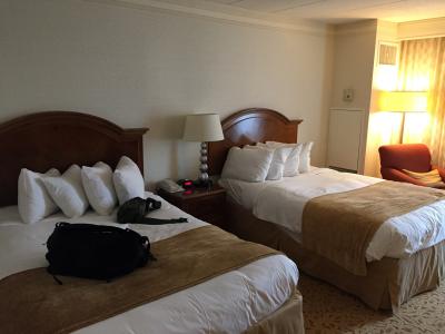 広いお部屋だったが、室内の家具に”アリ”がいた？