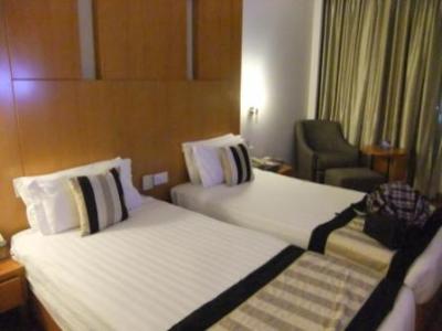 広いガーデンで動物と戯れる