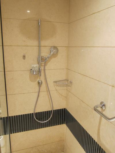 シャワーヘッドは手持ちと天井固定式の２つ