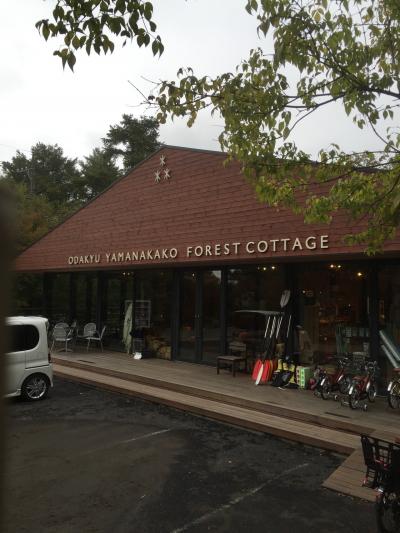 森の中でリフレッシュ