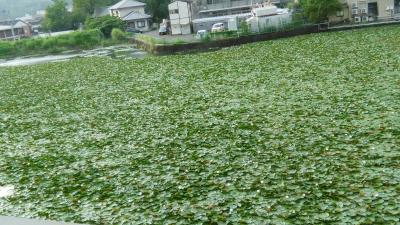 嬉野温泉　嬉野館
