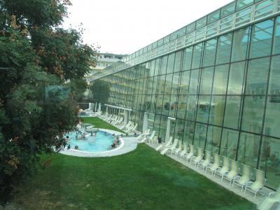 広いプールと様々なサウナが楽しめます