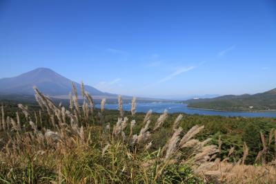 素晴らしい景色