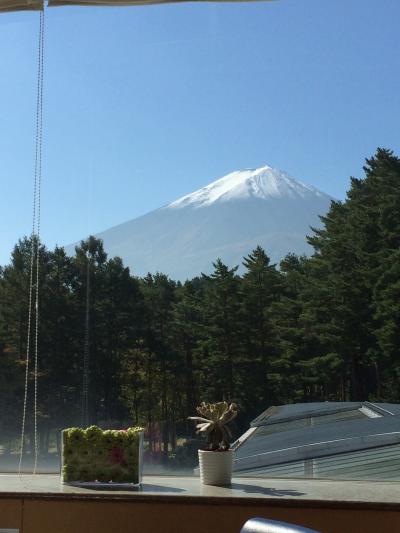 朝食バイキングに！