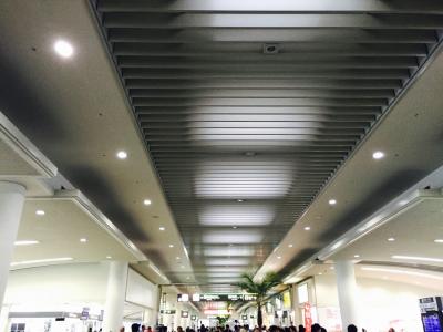 トランジットで利用