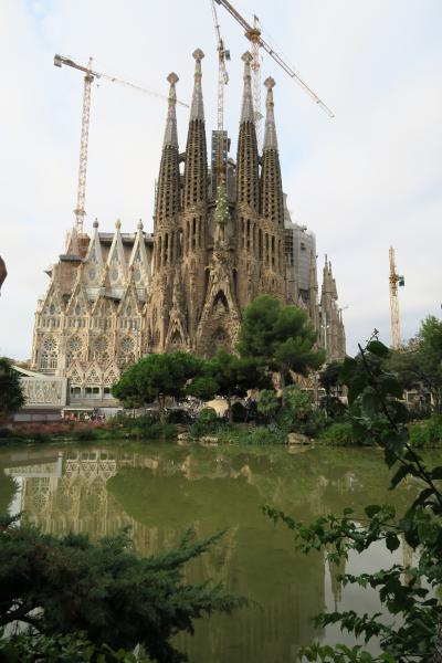 大きい！きれい！