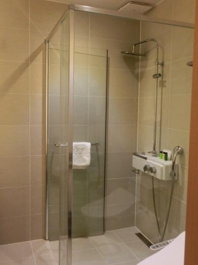 シャワーのみですが、水圧もよい