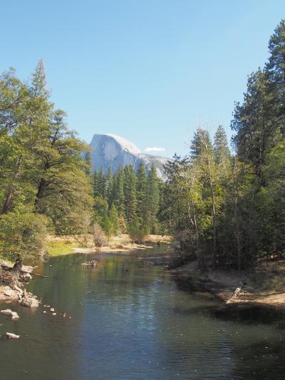 片道5時間掛ける価値あり