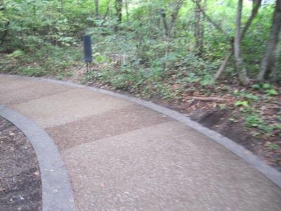 ハルニレテラス