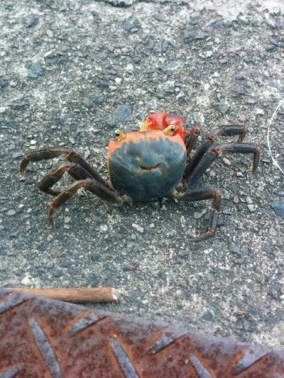 思ったより充実感♪