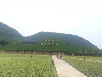 藤森照信の建築探偵好きにはたまらない空間