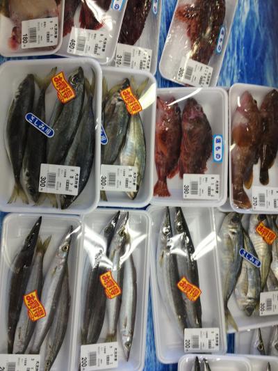イカのおみやげがたくさんあります