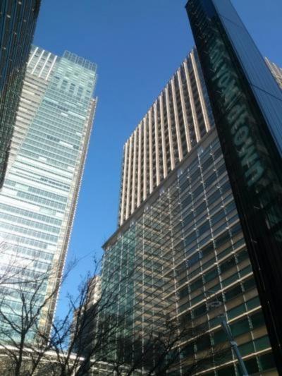 期待が膨らみ過ぎました