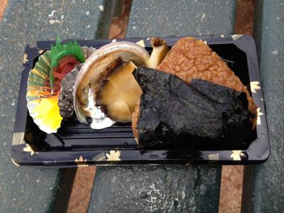 今後がますます楽しみです