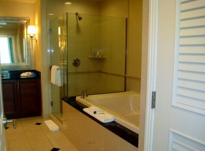 バスタブが大きく、ジャグジー付きです。