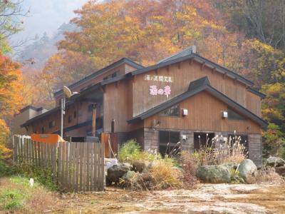 広河原温泉　湯ノ沢間欠泉　湯の華