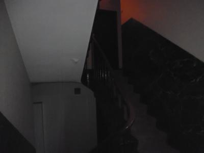 エレベーターがなかなか来なかった時に使った階段