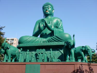 紅葉シーズンは最高！