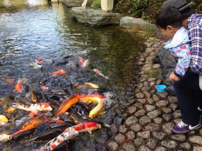 露天風呂付の部屋が絶対良い☆露天風呂付のコスパよし