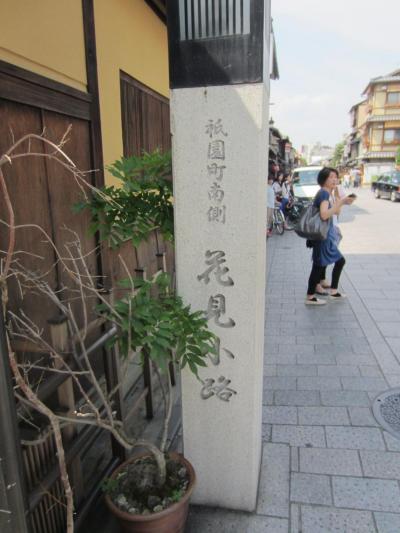 お土産ではないよ