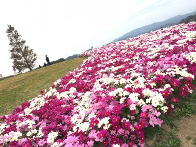 素晴らしい景色です