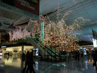 クリスマスのイルミネーション