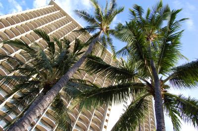 広い敷地でゆったりとしたホテルライフが満喫できる。