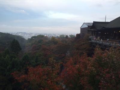 朝一がおすすめ！