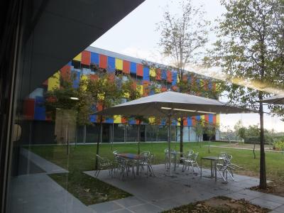 ユニークで人目を引く外観