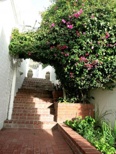 母屋へ通じる階段