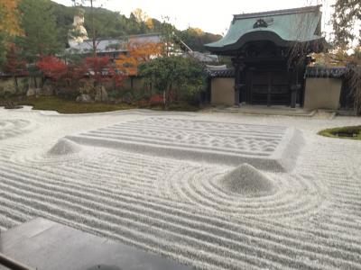 紅葉を見ながらねねの道