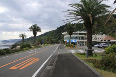 日南海岸ロードパーク　道の駅フェニックス（旧フェニックスドライブイン）