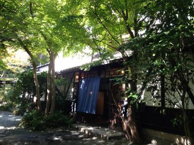 リフレッシュできました