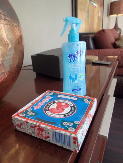 ホテルでも蚊取り線香炊いてくれましたが、自分たちでも持参。