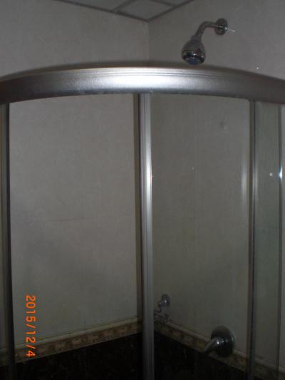 シャワー室のガラス囲いです。囲いのあるシャワー室は珍しいです