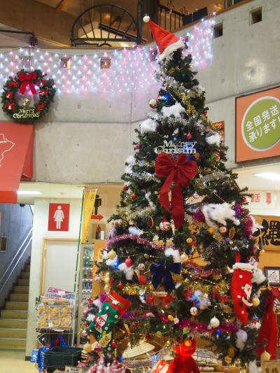 珍しいお土産が沢山