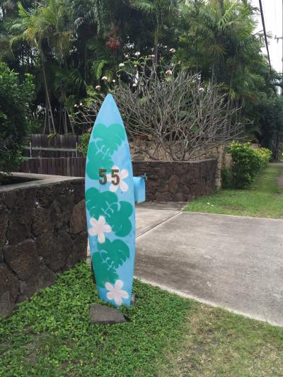 ちょっと曇りで残念。