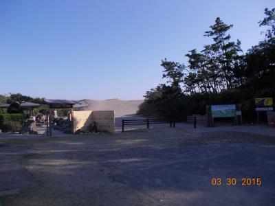 白い砂浜が広がります