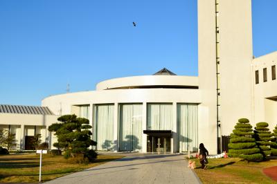 最高のホテル滞在を楽しめるワンちゃんリゾート ホテルビワドッグ