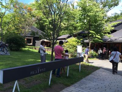 ハルニレテラス