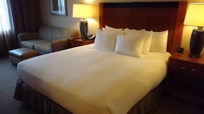 エアトレインが運休時には注意が必要