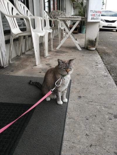 グアムで何をしたらいいかわからないときは行くべし！