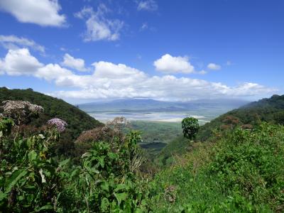 ンゴロンゴです。動物の宝庫でした。