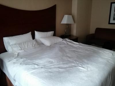 キングサイズベッドとその横のソファー（ベッドになる）