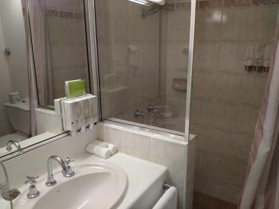 洗面とシャワーブースです。バスタブは無し。